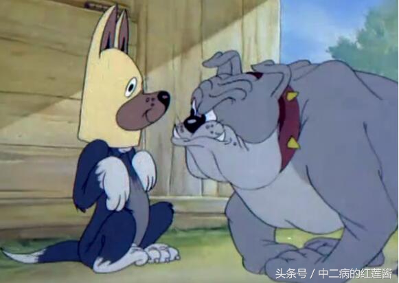 《笨女孩》被一个笨蛋带坏的小镇,唯独这条狗全面过人