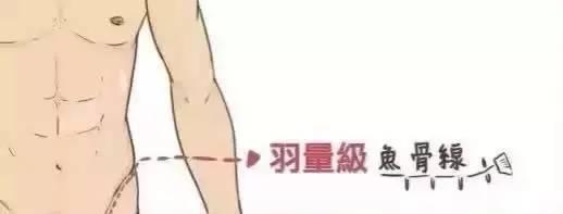 人鱼线等级划分标准,人鱼线是上下半身分界线吗