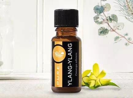 依兰精油哪个地方产的最好,依兰精油推荐