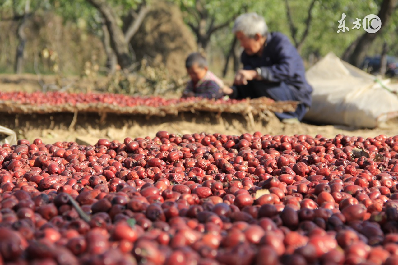 宝宝两个月零八天，已经五天没排便了