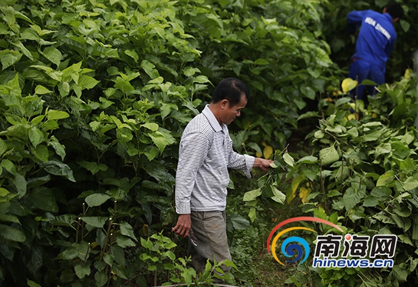 驻村生活vlog,农村驻村扶贫vlog