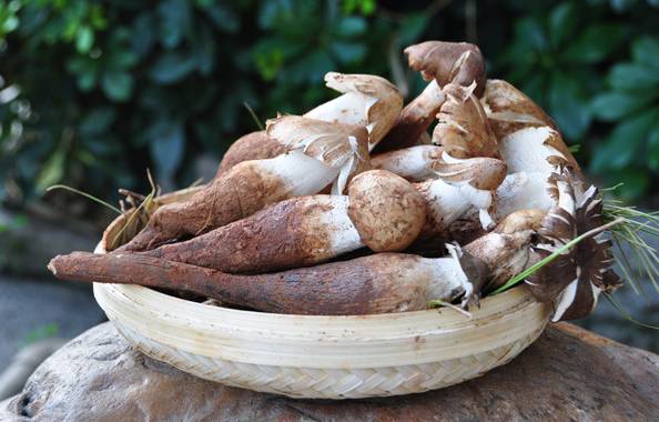 买菌菇被骗,买菌子东西被骗了怎样能追回钱