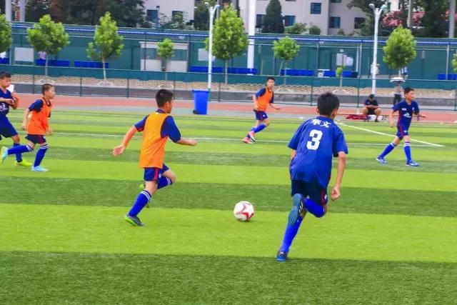 百队杯北京足球2021u8决赛,北京足球百队杯历届冠军