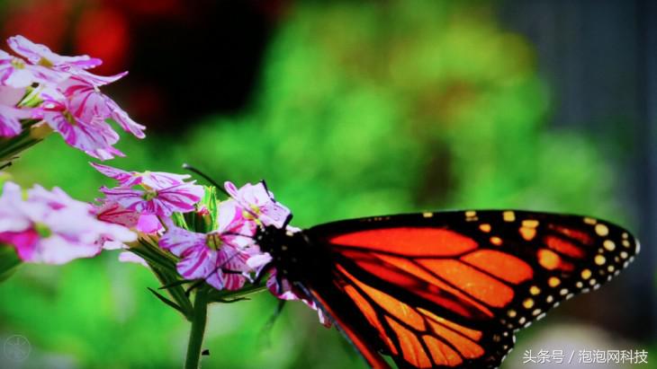 小米4a60寸,小米电视4aroot