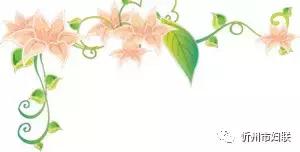 牢记深情嘱托携手姐妹同行｜巾帼风采·雁门绣娘