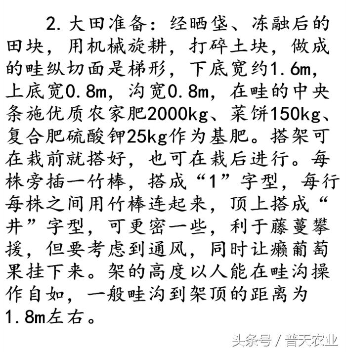 癞葡萄的种植方法和技术,癞葡萄种植方法和注意事项