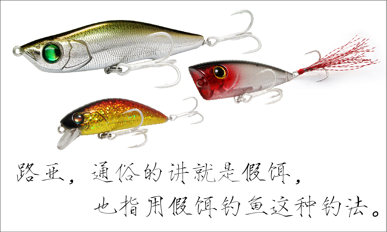 不一样的钓鱼,不一样的食肉鱼