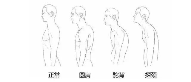 马甲线肩颈线,好看的肩颈比马甲线更好看