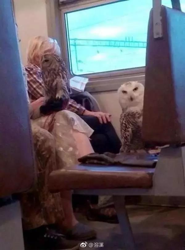 蜘蛛侠能拿雷神的锤子吗,蜘蛛侠可以放蜘蛛吗