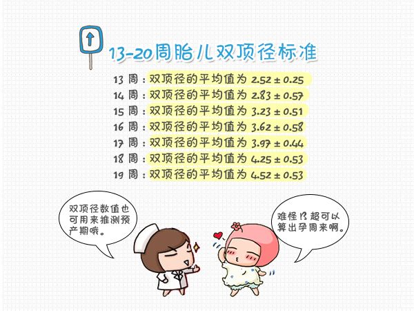 胎儿双顶径标准测量图,入盆以后双顶径测量准确吗