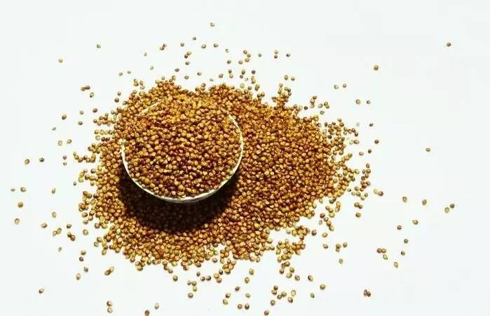 五谷杂粮养生配方大全适合青少年,提高免疫力五谷杂粮粉配方大全