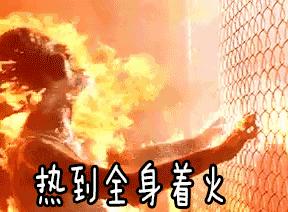 40度的高温天气不出门在家瞎折腾,40度的高温天气没事别出门