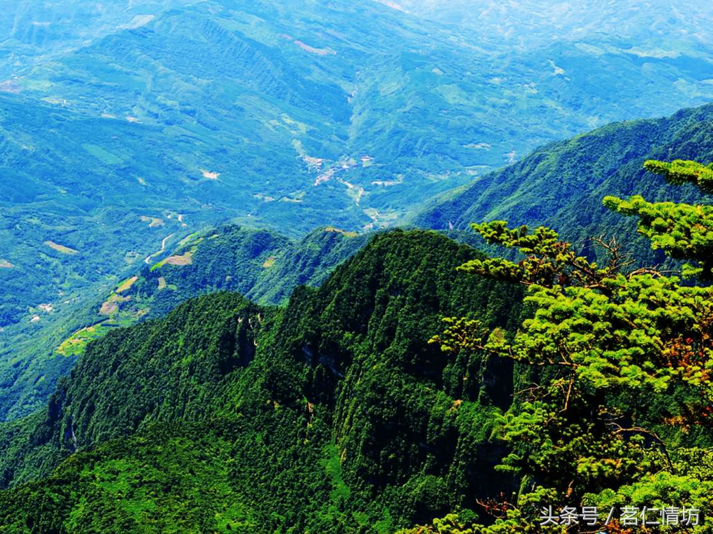 四川最美的山，你去过几个？华蓥山、青城山、西岭雪山……