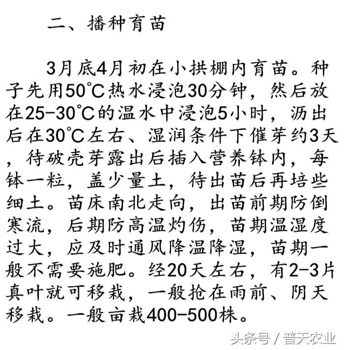 癞葡萄的种植方法和时间,癞葡萄怎么种植