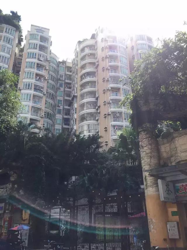 广州看房荔湾区,广州看房小区哪里最好