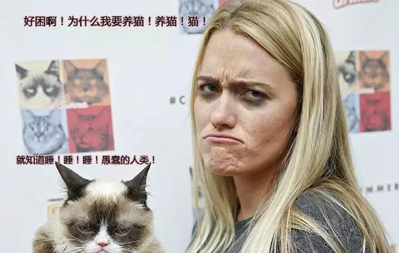 用成猫粮喂幼猫可以吗,能用两种猫粮混合着喂猫吗