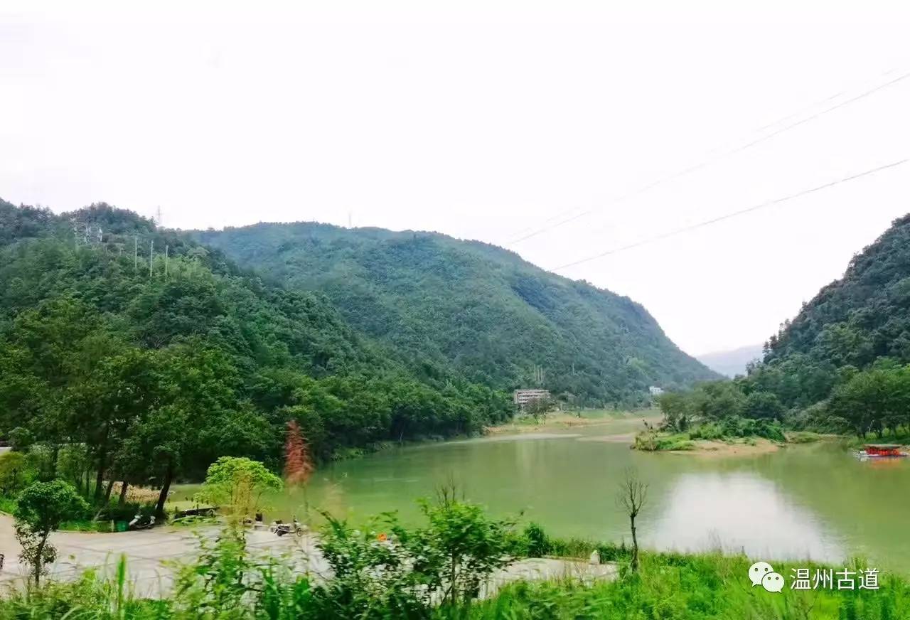 文成县珊溪水库地图,正宗文成珊溪水库有机鱼