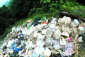 年赚100万的骗局,年赚千万的暴利生意真实案例