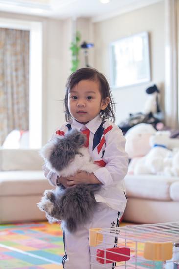 宠物篇-兔子1：想不想养一只甜馨同款的小兔兔呢~来来来~这里有大量萌兔奉上~