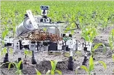 日本农业以什么经营为主,日本劳动力减少的方法