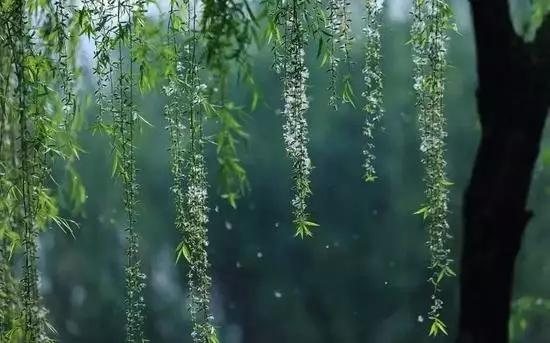 雪儿:细雨冥蒙风静柔,山青水绕巷深幽