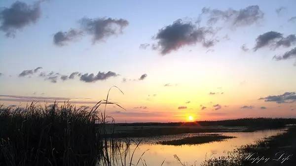 老夫妻上海一日游,上海老夫妻旅游路线攻略
