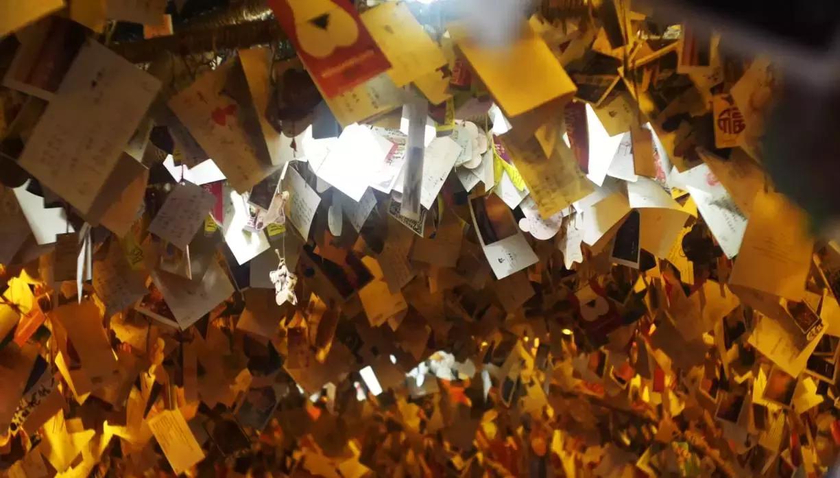 碧螺塔酒吧公园要买套票吗,秦皇岛碧螺塔海上酒吧公园