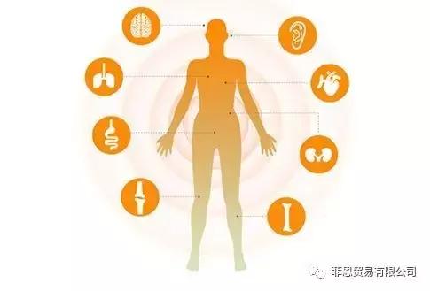 吃酵素进行肝胆排毒是真的吗,服用酵素可以补充活性酶