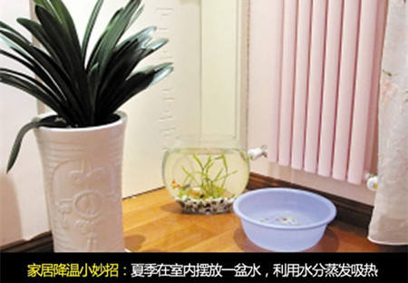 高温对花卉的影响,花卉遇高温天气怎么办