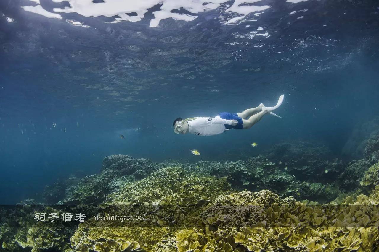 帕劳旅行真实感受,三次帕劳是一种什么体验