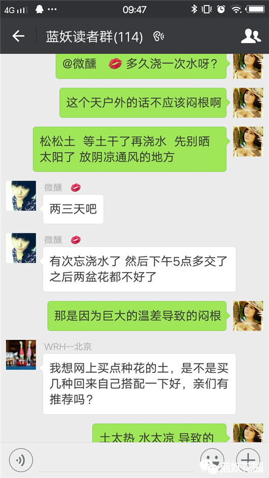 养花养到死的花怎么处理,养花的最高境界是把花养死