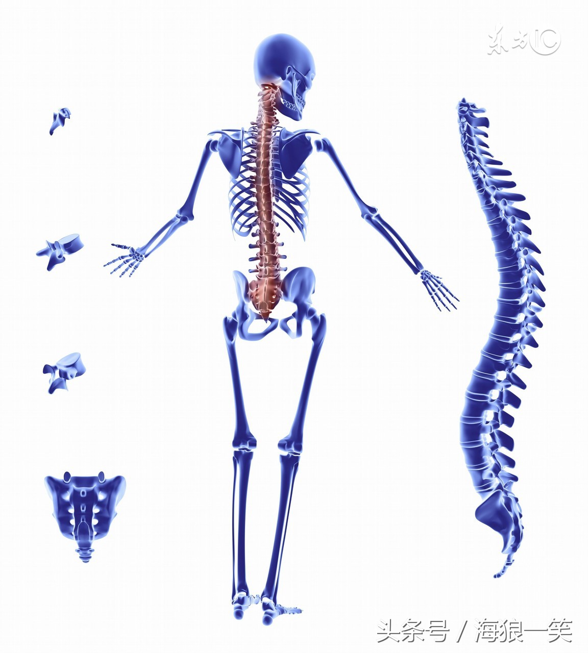 学习健身气功六字诀心得体会,练习太极拳膝盖疼怎么办
