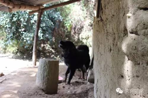 美食有一种情怀叫老味道,美食江湖情