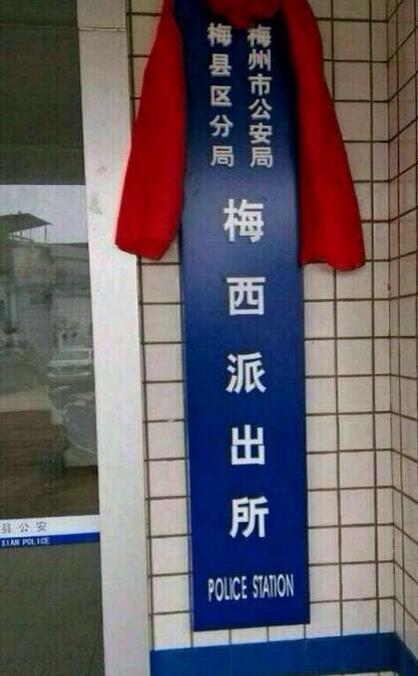 遍地都是球迷看哪家的最争气