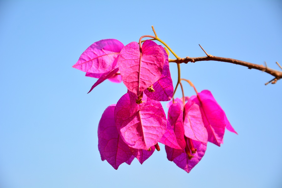 国投钦州发电有限公司的图片,广西钦州国投钦州发电有限公司