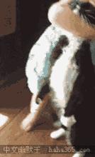 熊孩子防揍神器,熊孩子神器