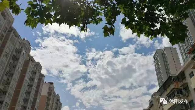 喏，送你一抹“沭阳蓝”……