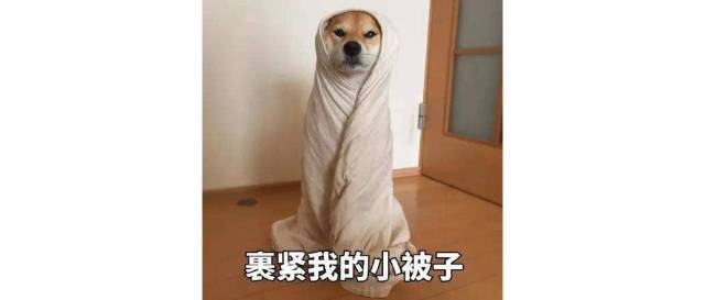 让人着迷的沐浴露,直男公认的好闻沐浴露