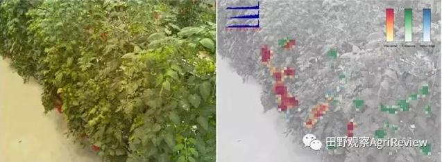 全球最强农业公司排名榜最新,农业创业十大风口企业