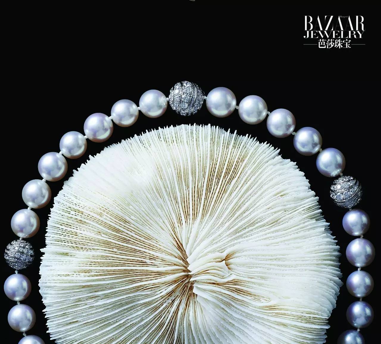 炫美图|热到和太阳肩并肩?芭珠姐带你去海底捞珍珠!