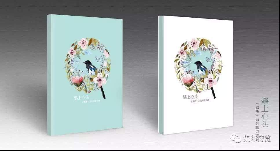 喜鹊大规模飞向一个方向,近期喜鹊展翅飞