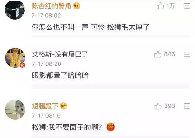 不能笑！因为国宝看了这条新闻能气死