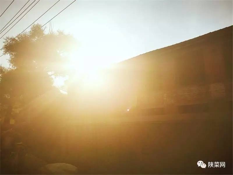 高岩最新直播,高岩发起的直播