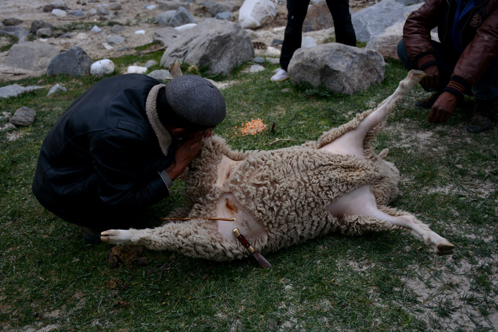 行者无疆-6月乌孙，漂洋过海为圣湖，翻山越岭因初心