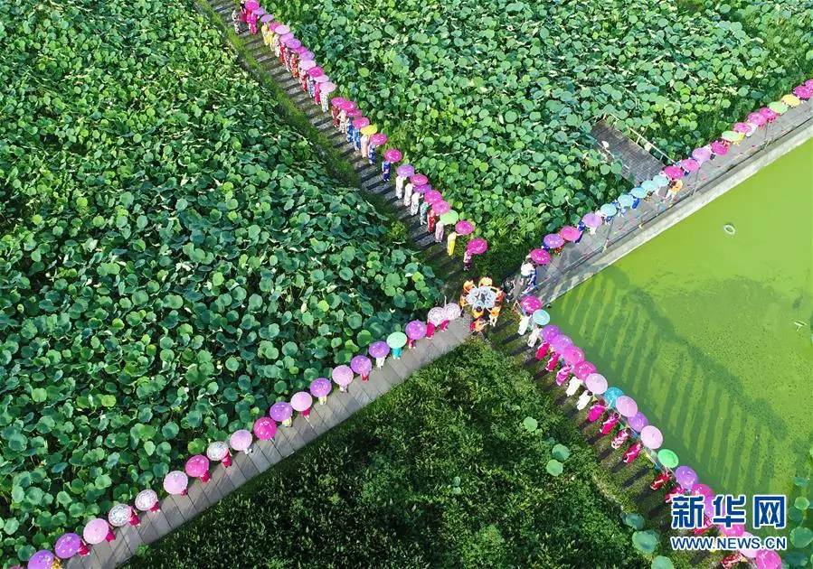 ac米兰体彩今年开过几次单关,ac米兰青少年足球