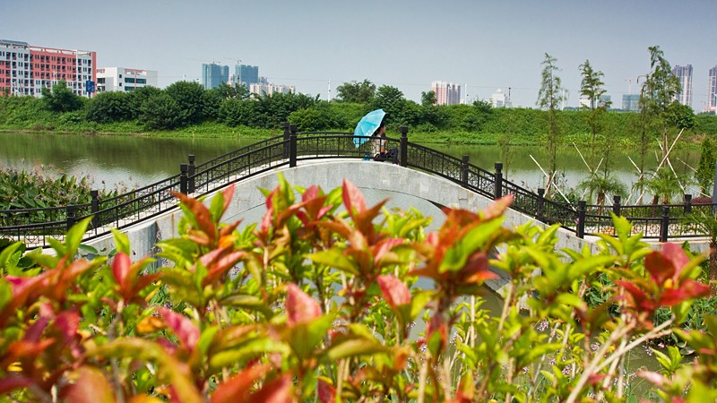 你好，我叫佛山，这是我的新名片！