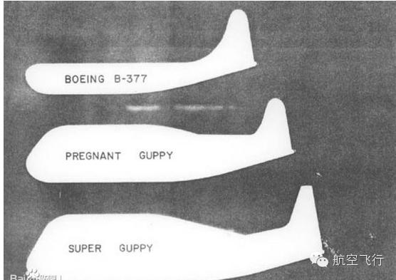 变异变形飞机,变异飞机鹦鹉