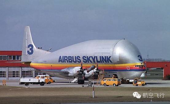 变异变形飞机,变异飞机鹦鹉