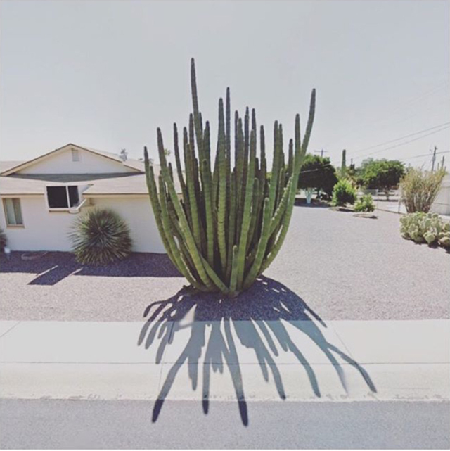 她宅在家里，却用27000张照片记录了与众不同的旅程