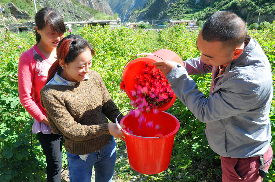 下足绣花功夫走活产业扶贫棋,下足绣花功夫提高扶贫质量